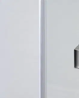 Sprchovacie kúty POLYSAN - FORTIS LINE sprchové dvere 1000, číre sklo, pravé FL1010R