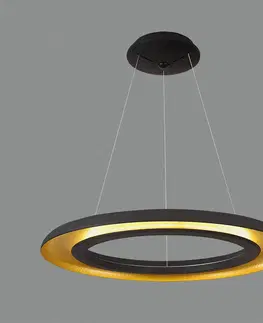 Závesné svietidlá ACB ILUMINACIÓN Závesné svietidlo LED Shiitake, čierna / zlatá
