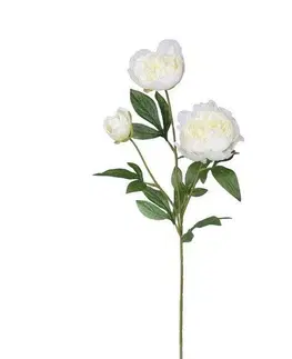 Kvety Umelá pivonka, 67 cm, biela