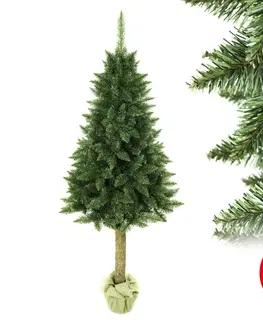 Vianočné dekorácie  Vianočný stromček na kmeni 180 cm jedľa 
