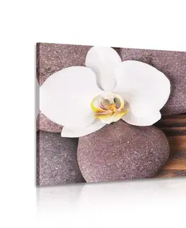 Obrazy Feng Shui Obraz wellness kamene a orchidea na drevenom pozadí