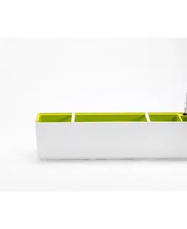 Truhlíky Plastia Samozavlažovací truhlík Berberis 80, biela + zelená