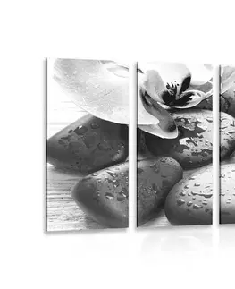 Čiernobiele obrazy 5-dielny obraz krásna súhra kameňov a orchidey v čiernobielom prevedení