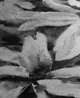 Čiernobiele obrazy Obraz rozkvitnutý akvarelový strom v čiernobielom prevedení