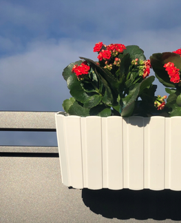 Kvetináče a truhlíky NABBI DDECZ400 plastový balkónový kvetináč 38,3 cm biela