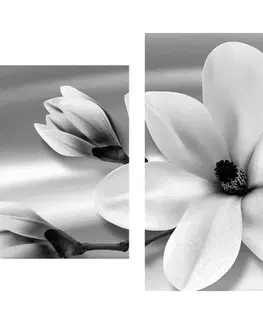 Čiernobiele obrazy 5-dielny obraz luxusná magnólia s perlami v čiernobielom prevedení