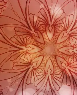 Obrazy Feng Shui Obraz kvetinová Mandala
