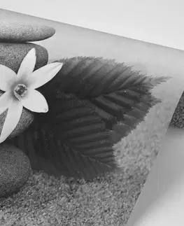 Samolepiace tapety Samolepiaca fototapeta čiernobiele kamene v piesku