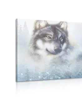 Obrazy zvierat Obraz vlk v zasneženej krajine