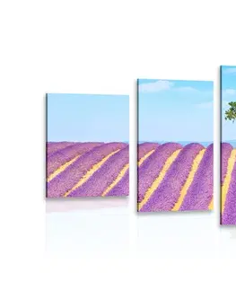 Obrazy prírody a krajiny 5-dielny obraz provensálske levanduľové pole