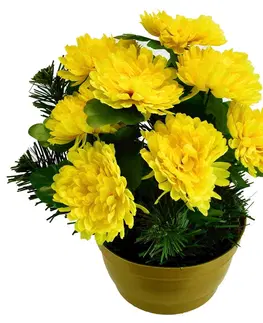 Kvety Umelá kvetina Chryzantéma v kvetináči, žltá, 22 x 23 cm