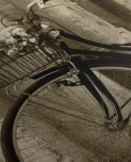 Čiernobiele obrazy Obraz rustikálny bicykel v sépiovom prevedení