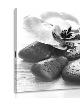 Čiernobiele obrazy Obraz krásna súhra kameňov a orchidey v čiernobielom prevedení