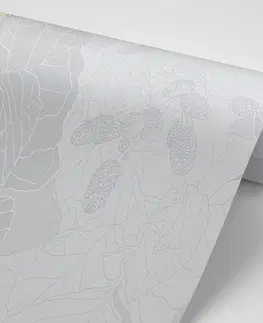 Tapety príroda Tapeta abstraktné šišky v šedom prevedení