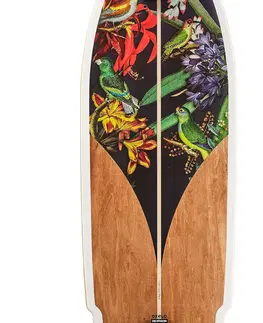 inline športy Longboard Surfskate 32" Carve 540 Bird