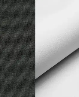 Pohovky NABBI Copparo rozkladacia pohovka s úložným priestorom čierna / biela / vzor