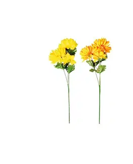 Kvety Chryzantéma plnokvetá, 3 kvety, v. 58 cm