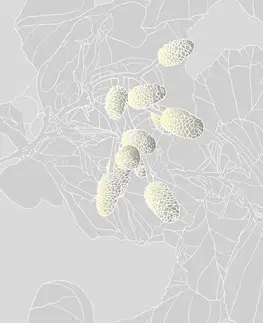 Tapety príroda Tapeta abstraktné šišky v šedom prevedení