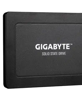 Pevné disky Gigabyte SSD 256GB 2,5" SATA GP-GSTFS31256GTND