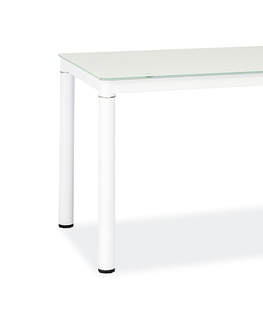 Jedálenské stoly GALON jedálenský stôl 100 x 60, biela
