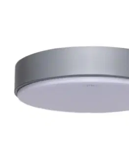 Svietidlá  B.V.  - LED Stropné svietidlo LED/20W/230V 6500K šedá 