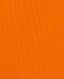 Stínící textilie Tieniaca plachta obdĺžniková 2,5 x 5 m oxfordská látka Dekorhome Oranžová