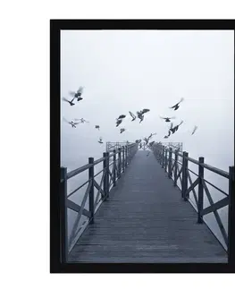 Obrazy Obraz Foggy Lake II 30x40cm