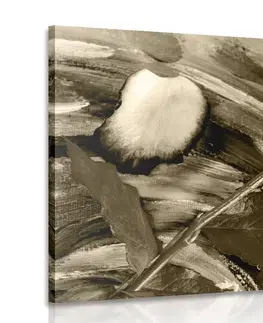 Čiernobiele obrazy Obraz ruža v sépiovom prevedení