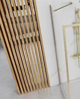 Sprchové dvere REA/S - Sprchový Rapid Slide Gold Dvere: 100 x Sprchová zástena: 90 KPL-09417