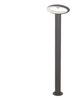 Záhradné lampy Rabalux Rabalux 8704 - LED Vonkajšia lampa BRISTOL 1xLED/9W 