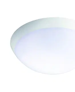 Svietidlá Fulgur Fulgur 26233 - LED Stropné svietidlo so senzorom ROMANA LED/20W/230V IP64 