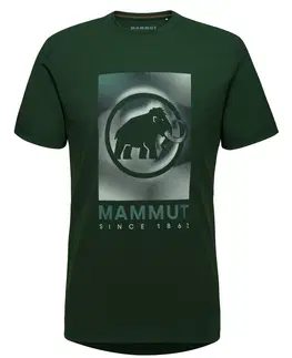 Pánske tričká Mammut Trovat T-Shirt XL