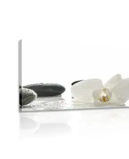 Obrazy Feng Shui Obraz biele kvety orchidey