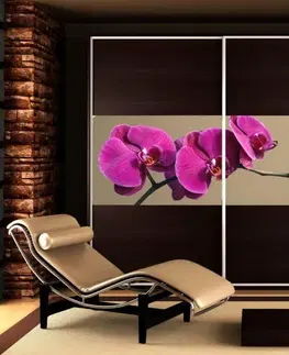 Tapety na nábytok Nálepka na skriňu - Fialová orchidea