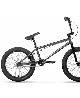 Bicykle BMX bicykel Galaxy Whip 20" 8.0 strieborná
