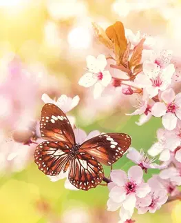 Samolepiace tapety Samolepiaca tapeta jarné kvety s exotickými motýľmi
