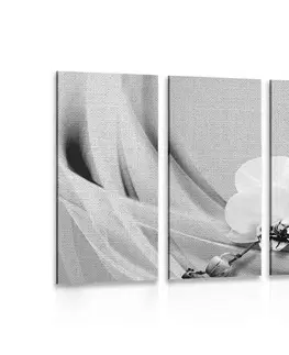 Čiernobiele obrazy 5-dielny obraz orchidea na plátne v čiernobielom prevedení