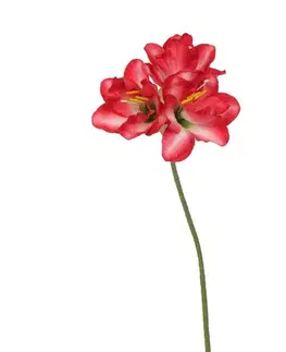 Kvety Umelý Amarylis červená, 54 cm