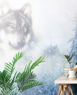 Tapety zvieratá Samolepiaca tapeta vlk v zasneženej krajine