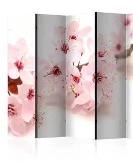 Paravány Paraván Cherry Blossom Dekorhome 225x172 cm (5-dielny)