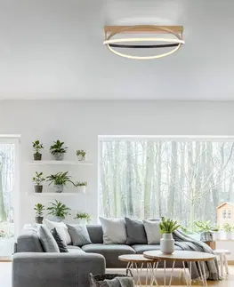 SmartHome stropné svietidlá Q-Smart-Home Paul Neuhaus Q-Beluga stropné LED svetlo, mosadz