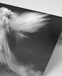 Čiernobiele tapety Tapeta čiernobiela podoba anjela v oblakoch