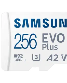 Pamäťové karty Samsung EVO Plus 256 GB microSDXC (2024)