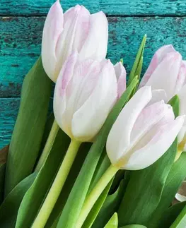 Obrazy kvetov Obraz kytica tulipánov a obálka