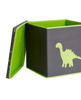 Boxy na hračky LOVE IT STORE IT - Úložný box na hračky s krytom - šedý, zelený dinosaurus