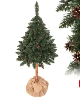 Vianočné dekorácie  Vianočný stromček PIN 180 cm jedľa 