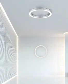 Stropné svietidlá PURE PURE Lines LED stropné svietidlo, okrúhle Ø50cm strieborné