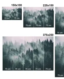 Samolepiace tapety Samolepiaca fototapeta rieka uprostred lesa v čiernobielom prevedení