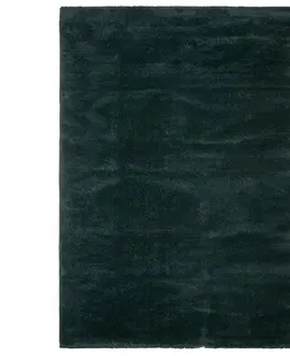 Hladko tkané koberce TKANÝ KOBEREC Octavia 3, 160/230cm, Zelená