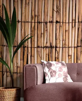 Tapety s imitáciou dreva Fototapeta exotický bambus